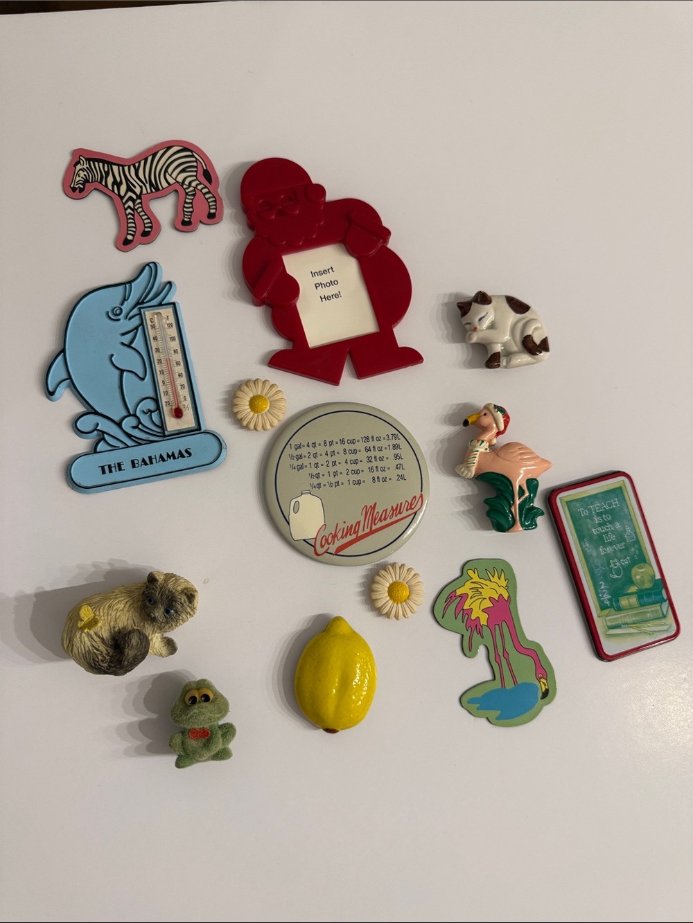 Vintage Fridge Magnetic Assortment Set